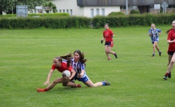 Fingallians Balheary Pitches