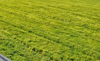 Johnstownbridge GAA Club