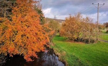 Shillelagh GAA Pitch