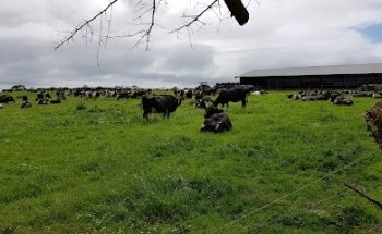 Bunratty AFC Soccer Grounds