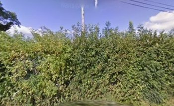 Midland Parenting and Child Therapy Centre