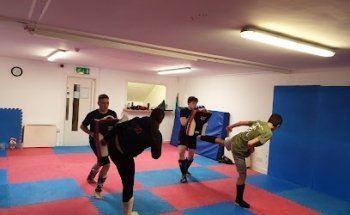 The Martial Arts Academy