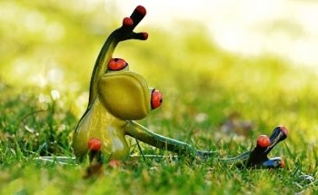 Yoga with Pamela Enright