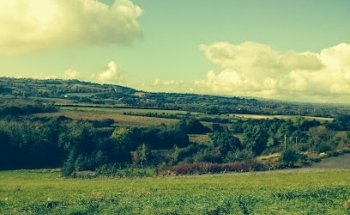 Birch Tree Yoga & Therapy Centre