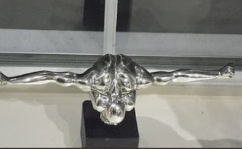 Combined Muscle Therapies