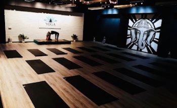 Ganapati School of Yoga