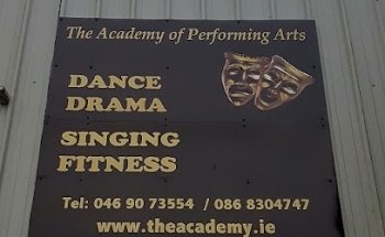 The Academy of Performing Arts