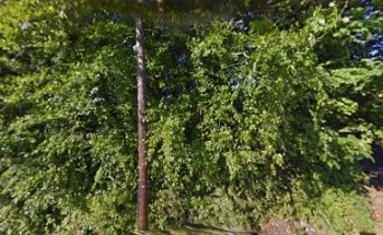 Barn Door Creative Studios