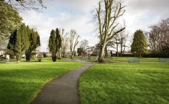 Physiofit Woman Wexford