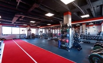 Metabolic Fitness Personal Training