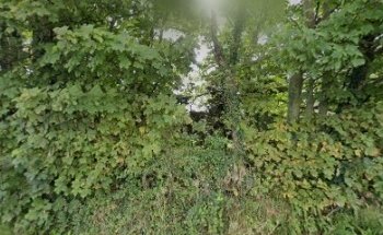 Personal Tranzformation