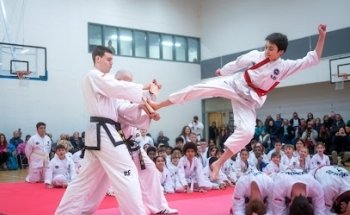 Elite Taekwondo Academy