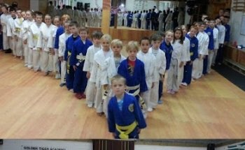 Golden Tiger Academy