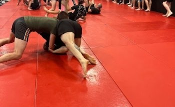 BJJ BRAY - LEDDY BROTHERS JIU JITSU