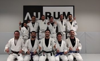 Aurum BJJ Dublin