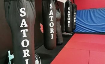 Satori BJJ