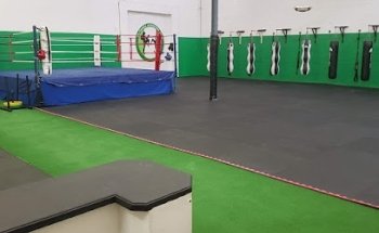 Na Fianna Martial arts and Fitness Centre
