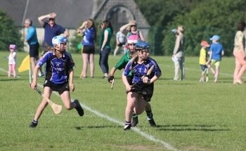 Halfway House Bunclody GAA club