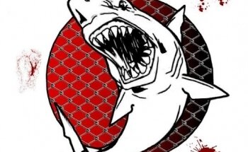 Shark Bait MMA