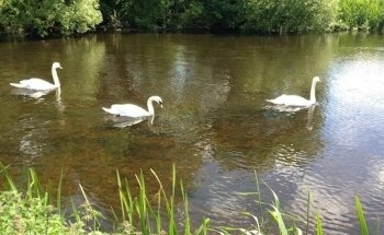 Newbridge outdoor gym