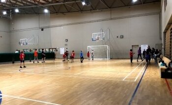 Shoreline Leisure Greystones