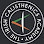 The Irish Calisthenics Academy (The I.C.A)