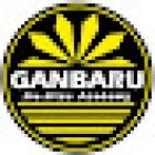 Ganbaru Jiu Jitsu Academy - Waterford