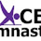 Excel Gymnastics Ballyfermot.