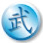 The Martial Arts Academy