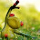 Yoga with Pamela Enright