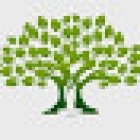 Birch Tree Yoga & Therapy Centre