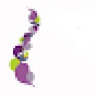 The Good Back Clinic