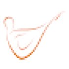 Vitality Pilates & Wellness, Dundalk