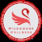 Wildgoose Wellness Physiotherapy