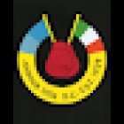 Arbour Hill Boxing Club