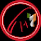 Dublin Capoeira - Professor Bruno