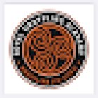 Royal Grappling Academy BJJ Dublin