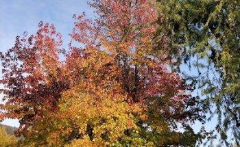 Centro Sportivo Sagnino - CSU