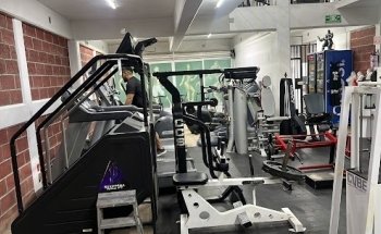THE MONSTER GYM