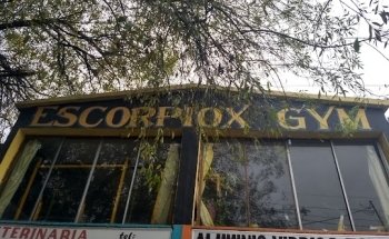 Escorpiox fitness gym
