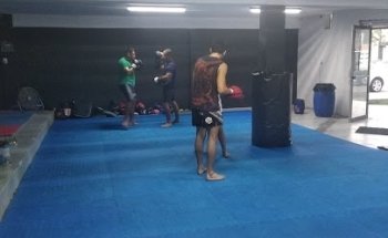 Tena MMA