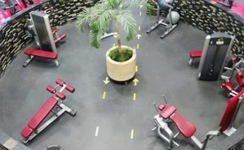 Energy Training Zone