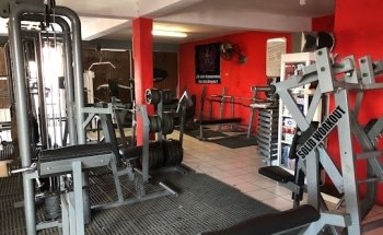 Sfovdra GYM Sucursal Centauro