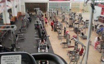 Life and Fitness Irapuato