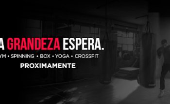 The Bronx. Training Studio