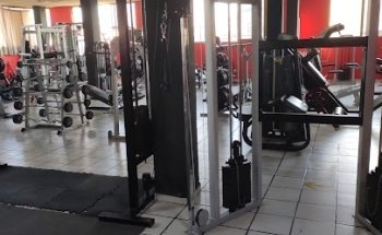 Gym Metal Palace