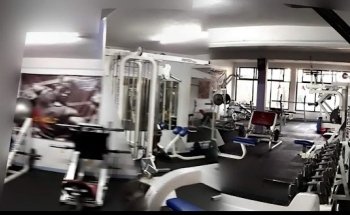 Wolf's Gym