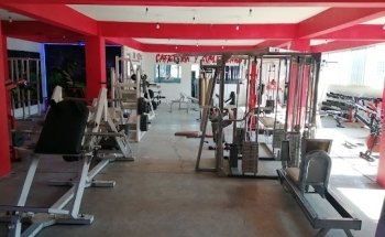 Reptil físic gym