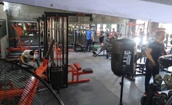 World romans gym