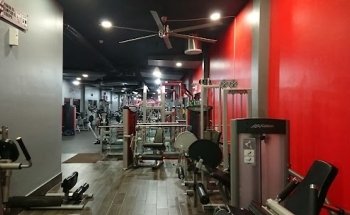 TRIBU GYM